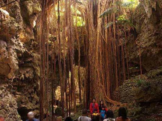 トリップアドバイザー提供