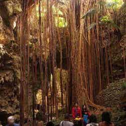 トリップアドバイザー提供