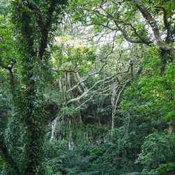 トリップアドバイザー提供