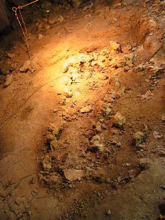 トリップアドバイザー提供