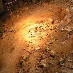 トリップアドバイザー提供