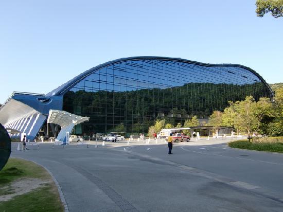 トリップアドバイザー提供