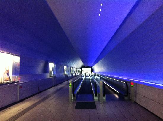 トリップアドバイザー提供