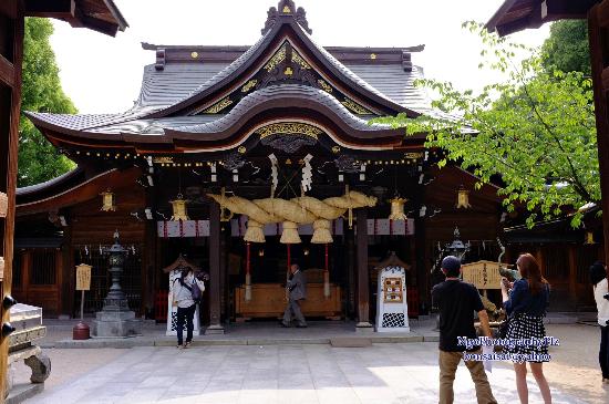 トリップアドバイザー提供