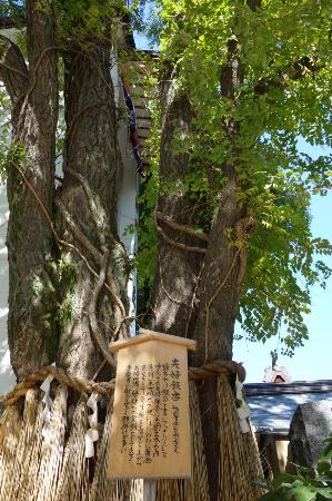 トリップアドバイザー提供