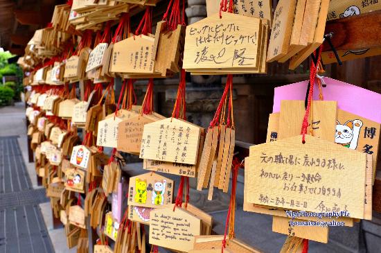 トリップアドバイザー提供