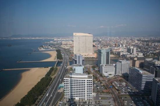 トリップアドバイザー提供