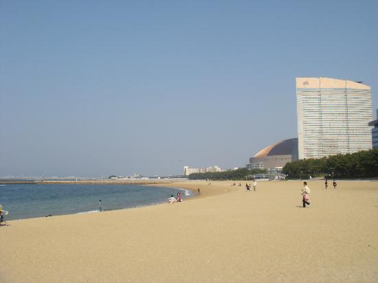 トリップアドバイザー提供