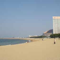 トリップアドバイザー提供