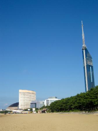 トリップアドバイザー提供