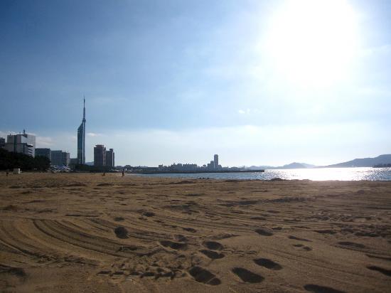 トリップアドバイザー提供