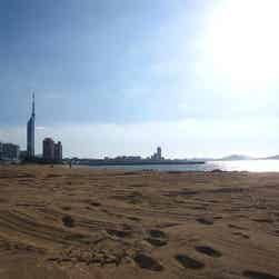 トリップアドバイザー提供