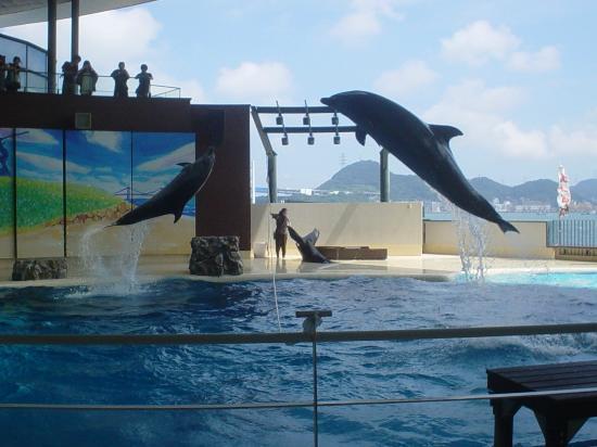 トリップアドバイザー提供