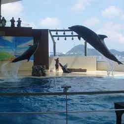 トリップアドバイザー提供