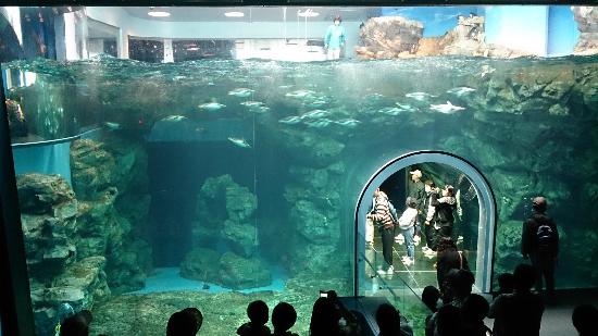 トリップアドバイザー提供