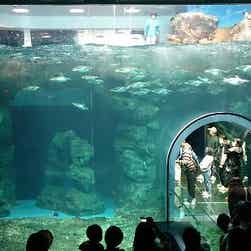 トリップアドバイザー提供