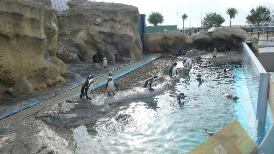 トリップアドバイザー提供