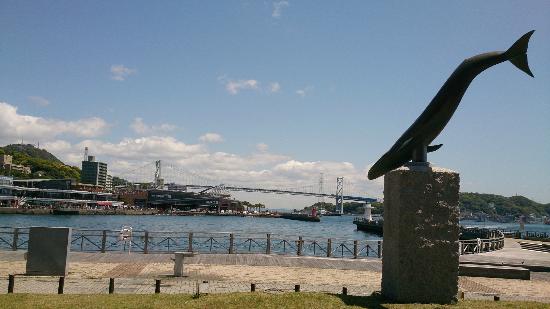 トリップアドバイザー提供