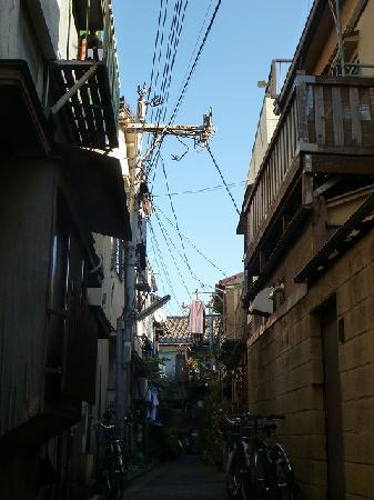 トリップアドバイザー提供