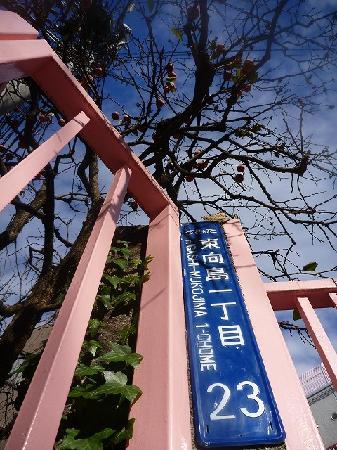 トリップアドバイザー提供