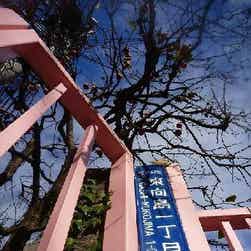 トリップアドバイザー提供