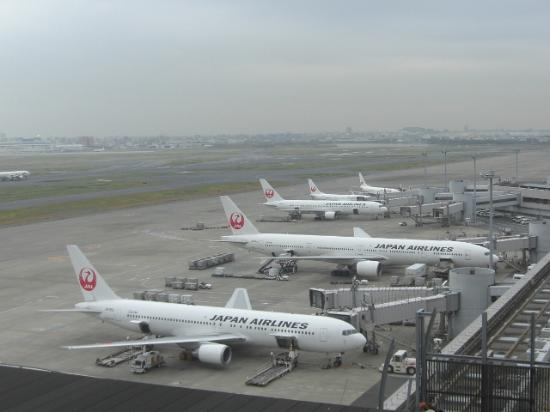 トリップアドバイザー提供