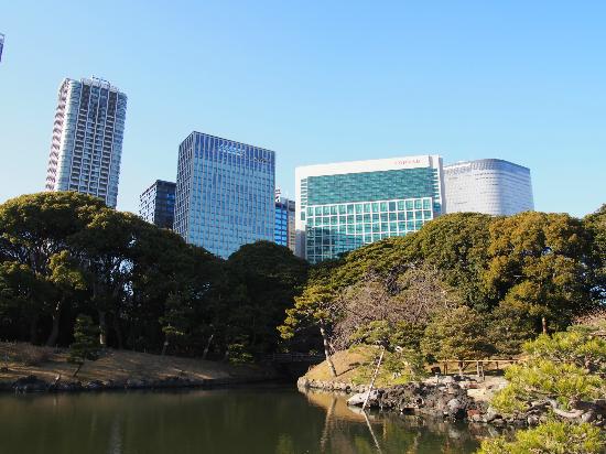 トリップアドバイザー提供