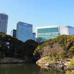 トリップアドバイザー提供