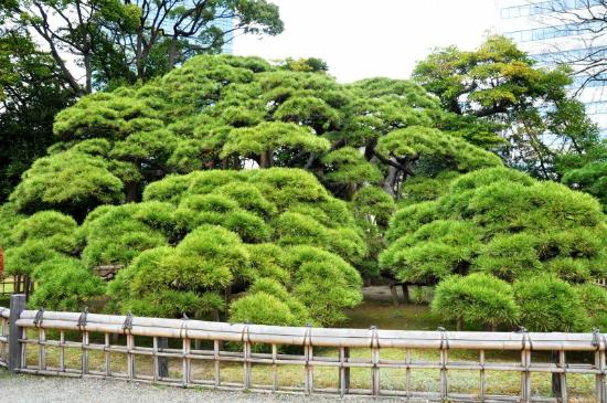 トリップアドバイザー提供