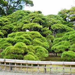 トリップアドバイザー提供