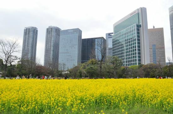 トリップアドバイザー提供