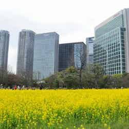 トリップアドバイザー提供