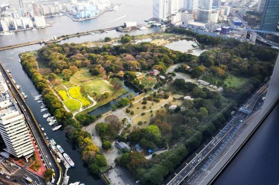 トリップアドバイザー提供