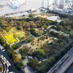 トリップアドバイザー提供