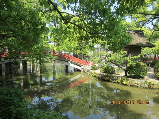 トリップアドバイザー提供