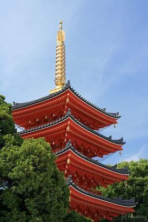 トリップアドバイザー提供