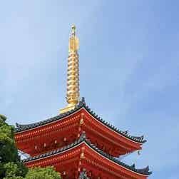 トリップアドバイザー提供