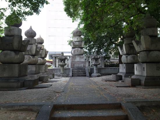 トリップアドバイザー提供