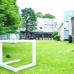 トリップアドバイザー提供