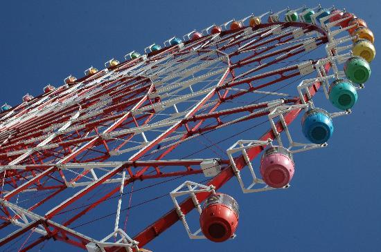 トリップアドバイザー提供