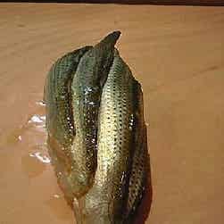 トリップアドバイザー提供