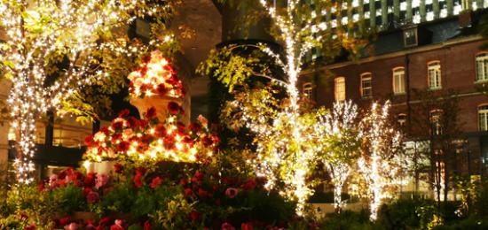 トリップアドバイザー提供