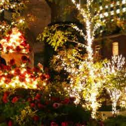 トリップアドバイザー提供