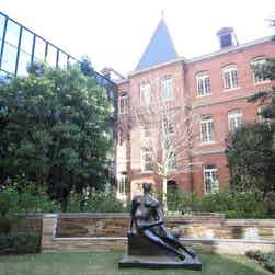 トリップアドバイザー提供