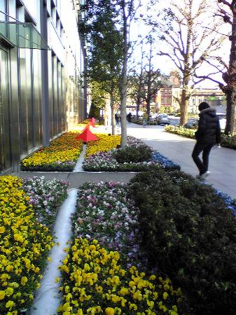 トリップアドバイザー提供