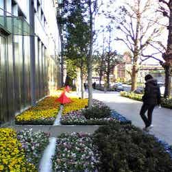 トリップアドバイザー提供