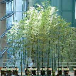 トリップアドバイザー提供