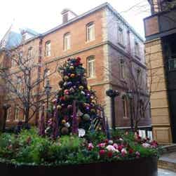 トリップアドバイザー提供