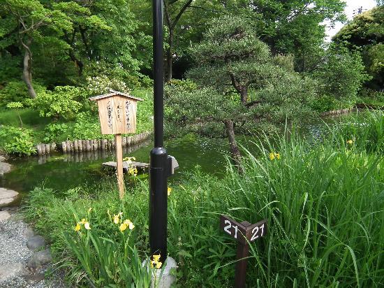 向島百花園 女子旅プレス