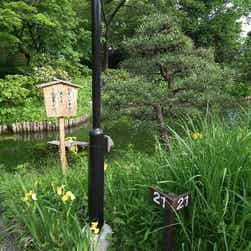 トリップアドバイザー提供